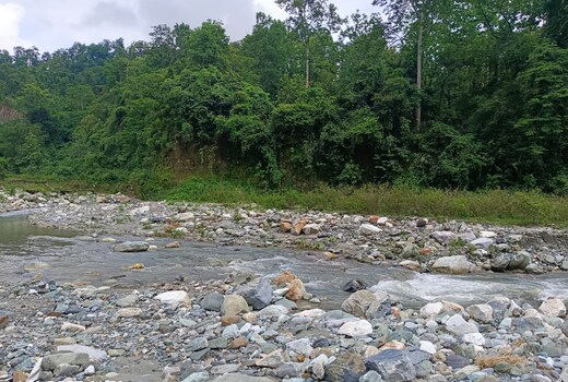 Doars valley Homestay Buxa