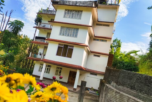 Tenzing Hillary Pinasha Homestay