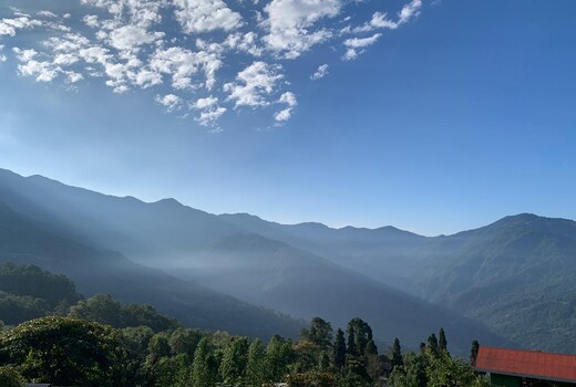 The Golden Nest Homestay