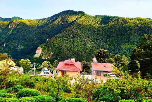 Aruvi Cottages