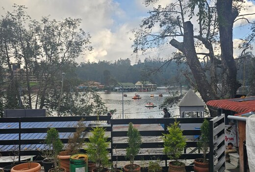 MANGO RESORTS ON THE LAKE
