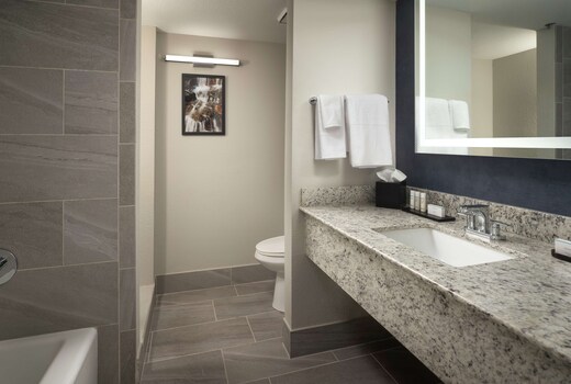 Embassy Suites by Hilton Tucson East