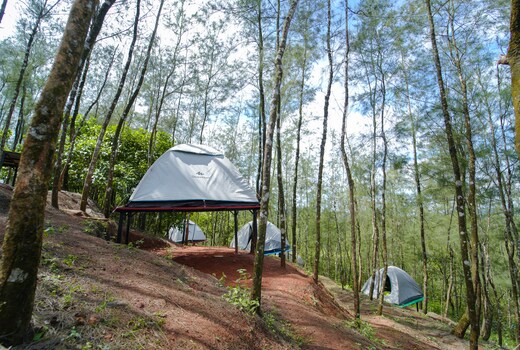 Voye Homes Pine Encamp