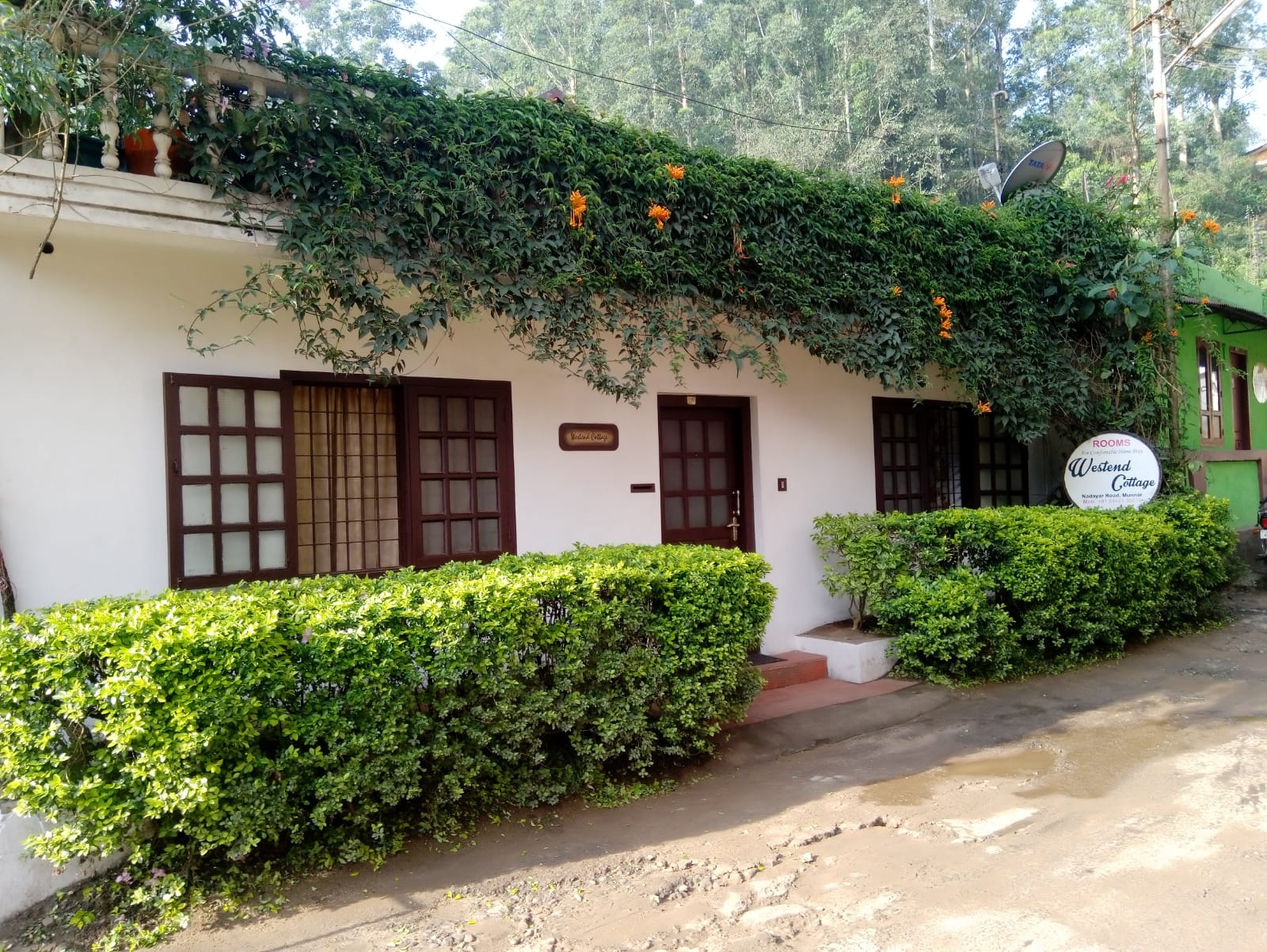 Main gallery