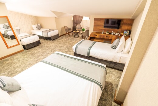 Istanbul Airport Express Hotel