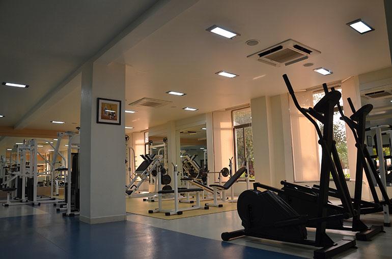 Main gallery