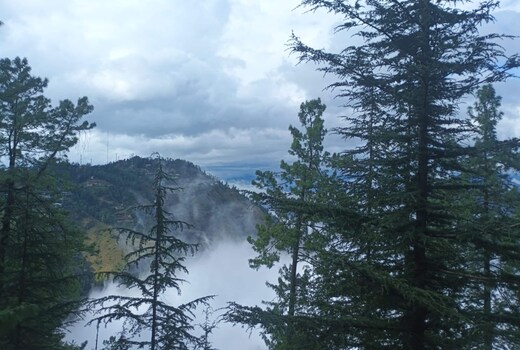 The Mud Deodar Retreat Eco Friendly Home