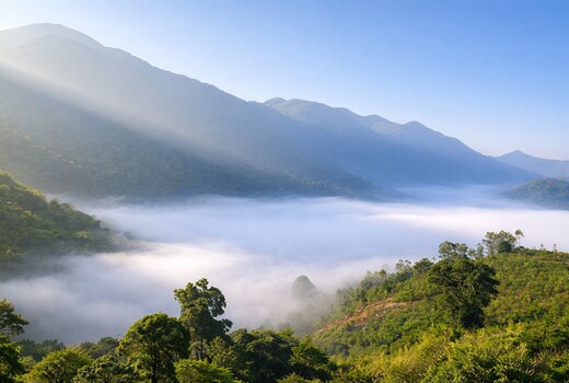 Silent Villas 2BR GF in Araku Valley by Homeyhuts(Room No-5&6)
