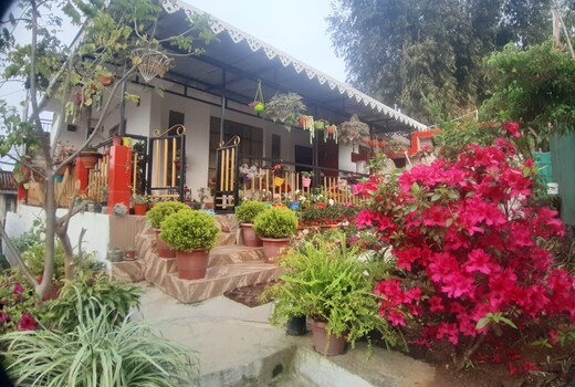 Teesta Valley Homestays