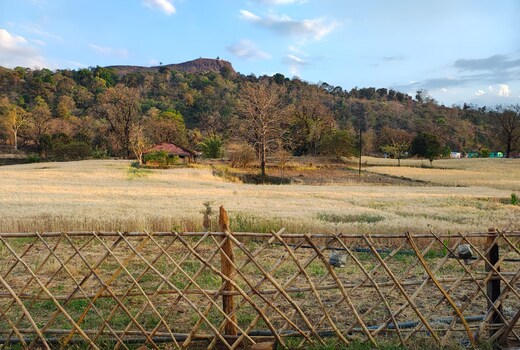 Imli Home Stay