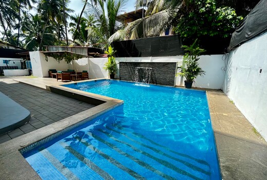 The X & Z Goa