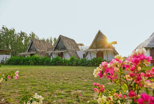 The Orchard Farm stay Cottage -1