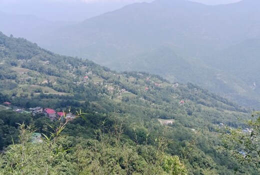 Bliss homestay