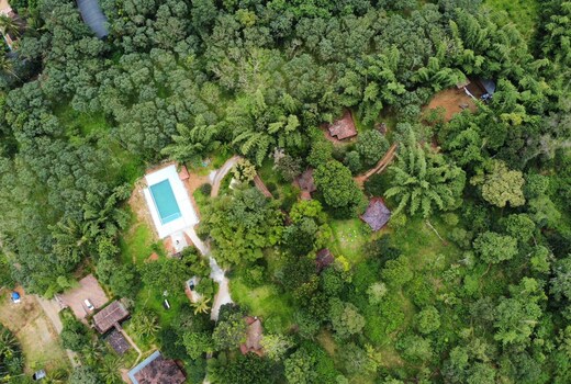 Misty Night Jungleside Resort