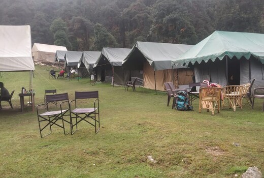 Camping at Birds Watching Camps