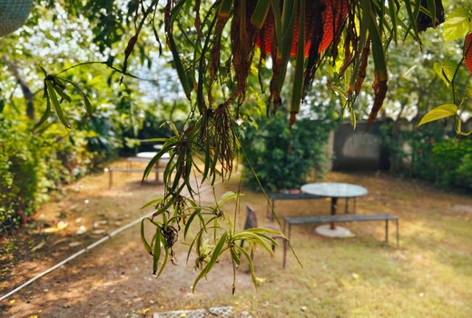 Hotel Mansa