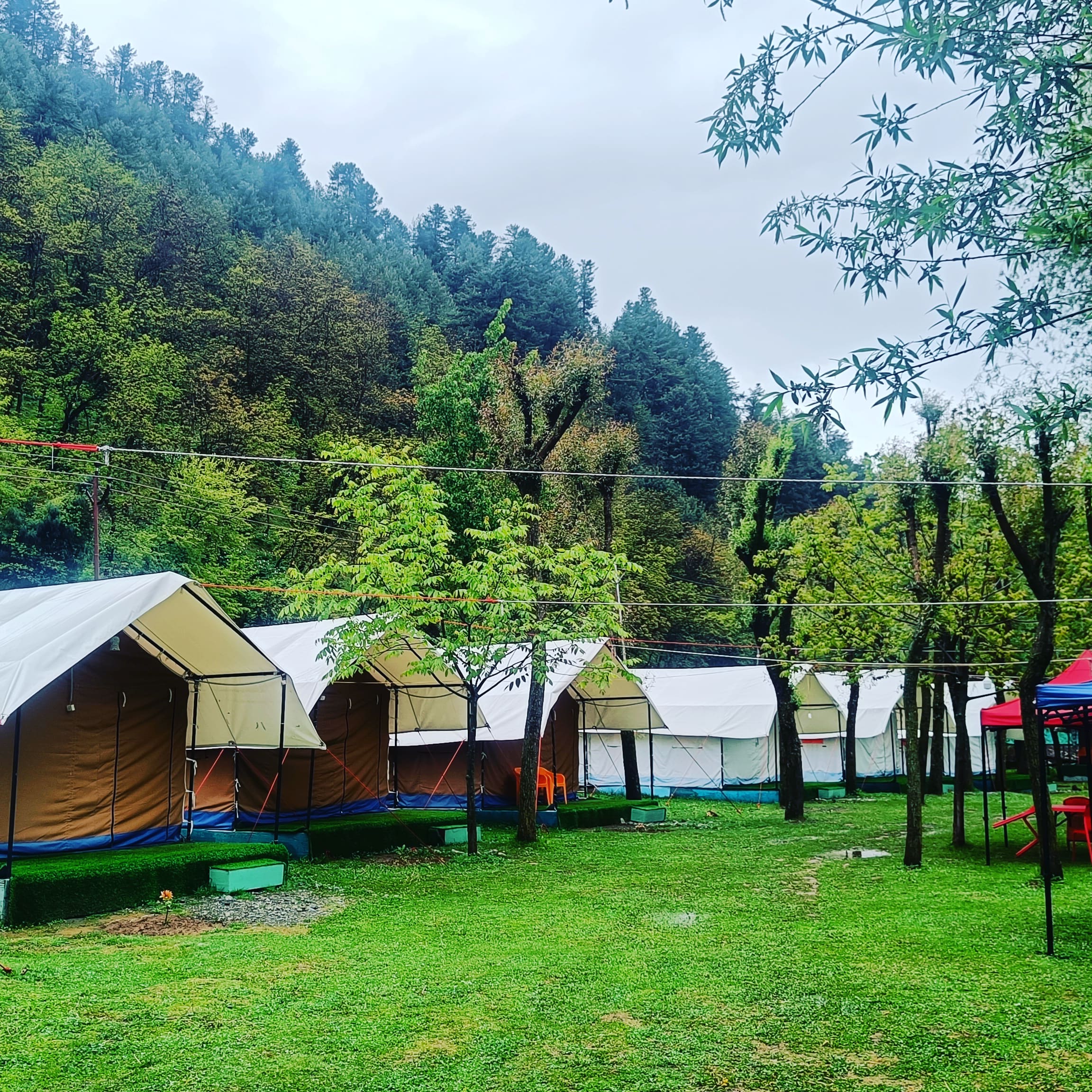 Festival Inn Camping Site - Holiday Selection