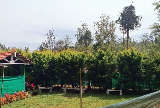 STAY IN GREEN HOMESTAY