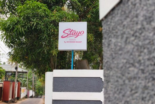 Stayo by Palmyra