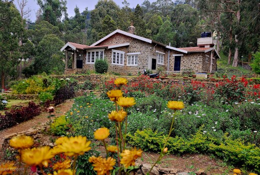 Springdale Villa
