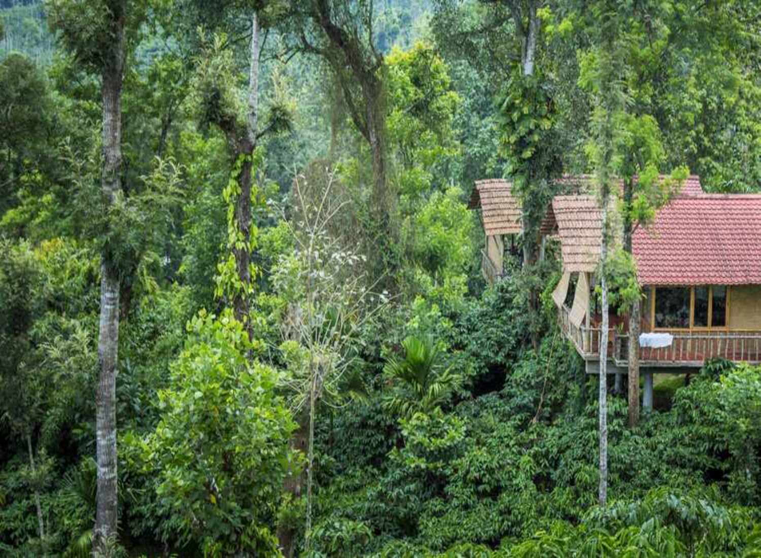 The Coffee County Resorts
