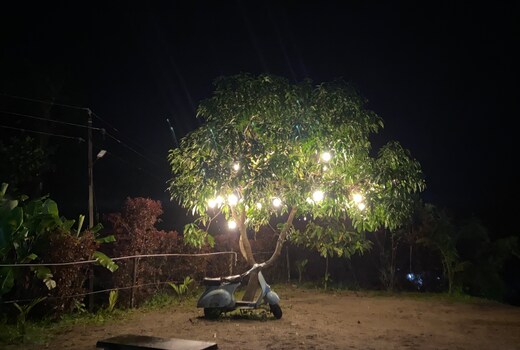 Hashtag Sakleshpura Homestay