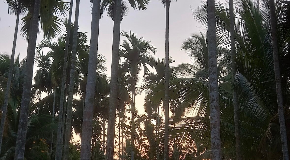 Gold Coast Resort, Diglipur