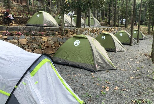 WT Puliyur Yercaud Campsite