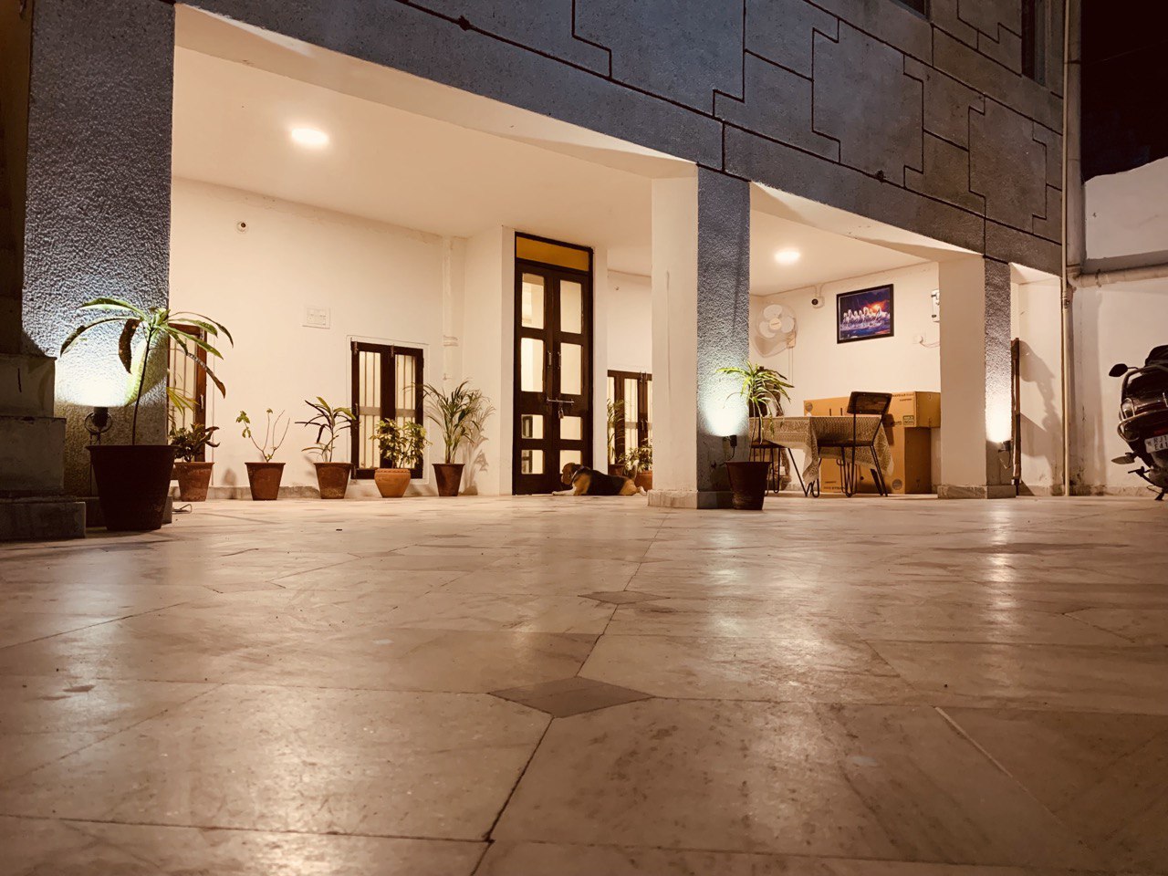 Main gallery