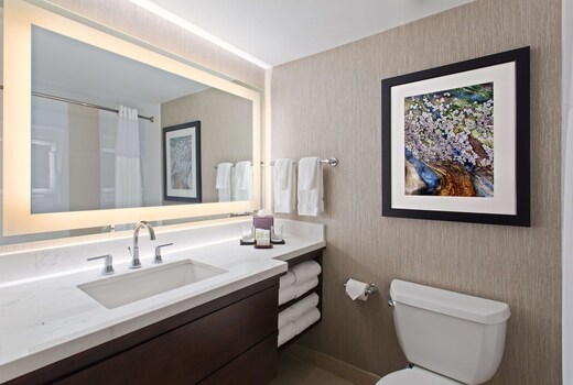 Embassy Suites by Hilton Orlando International Dr Conv Ctr