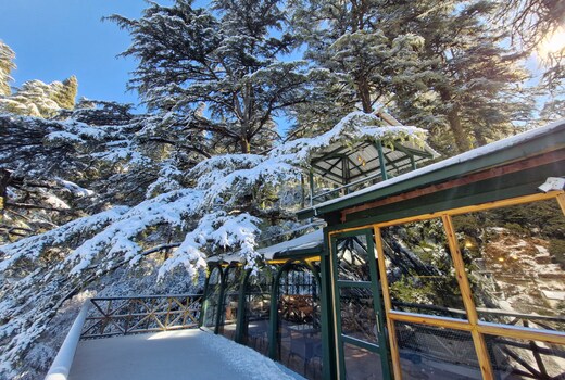 Light of Landour