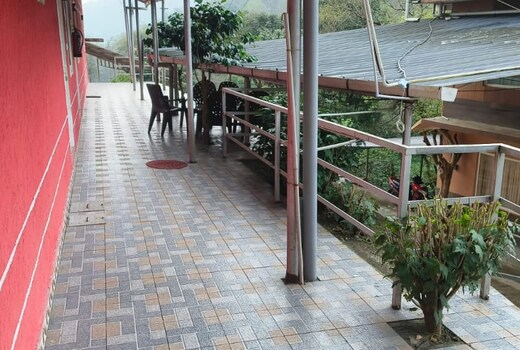 AGB Jungle resort