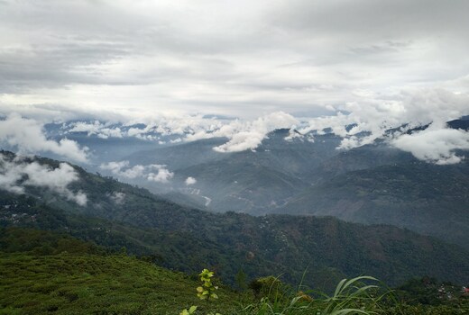 The Mukhian Homestay