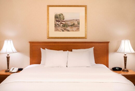 Hampton Inn & Suites by Hilton Addison