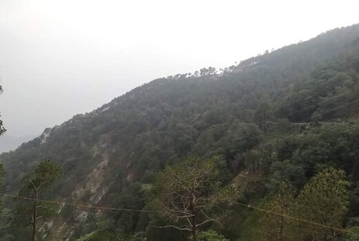 Fogg Valley Dalhousie