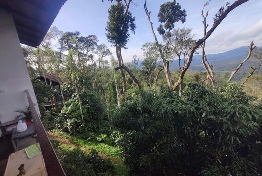 Cozinn B517 Private Cabin in Chikkamaglur at Peak viewpoint