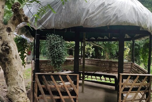 Jungle Care Serviced villa