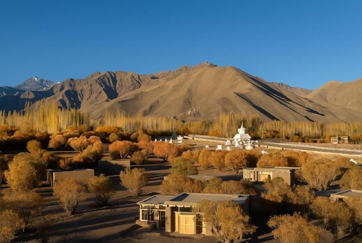 The Postcard in the Himalayan Willows , Stok, Leh