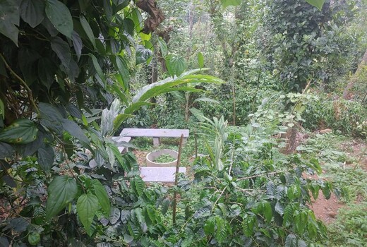 Samrudhi Homestay