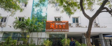 MARIGOLD AT NEST