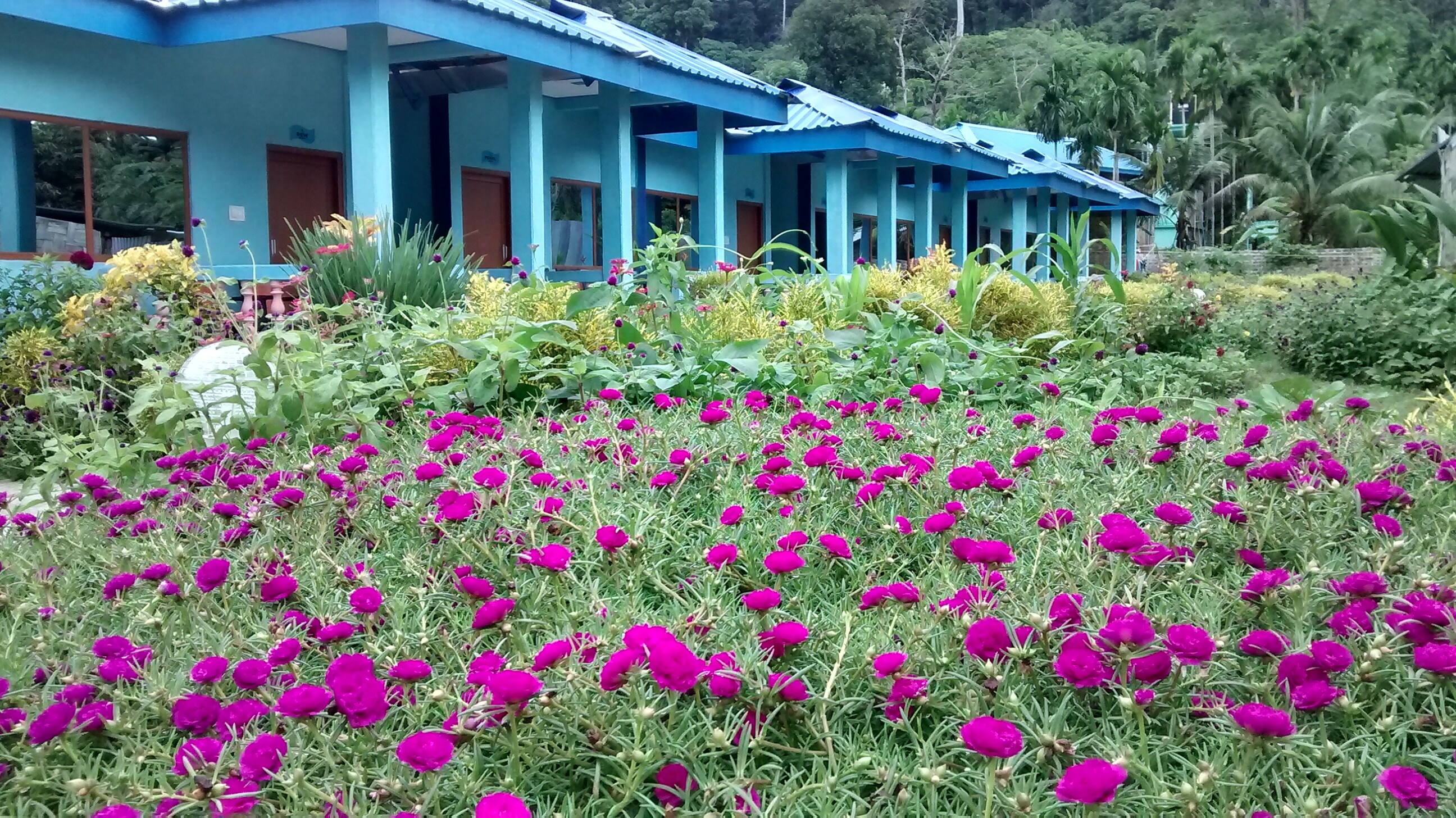 The OCEAN BLUE RESORT