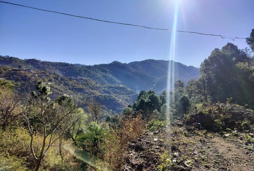 Kasauli Jashan family Home stay