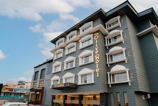 The Olive Hotel (Nearby Airport)