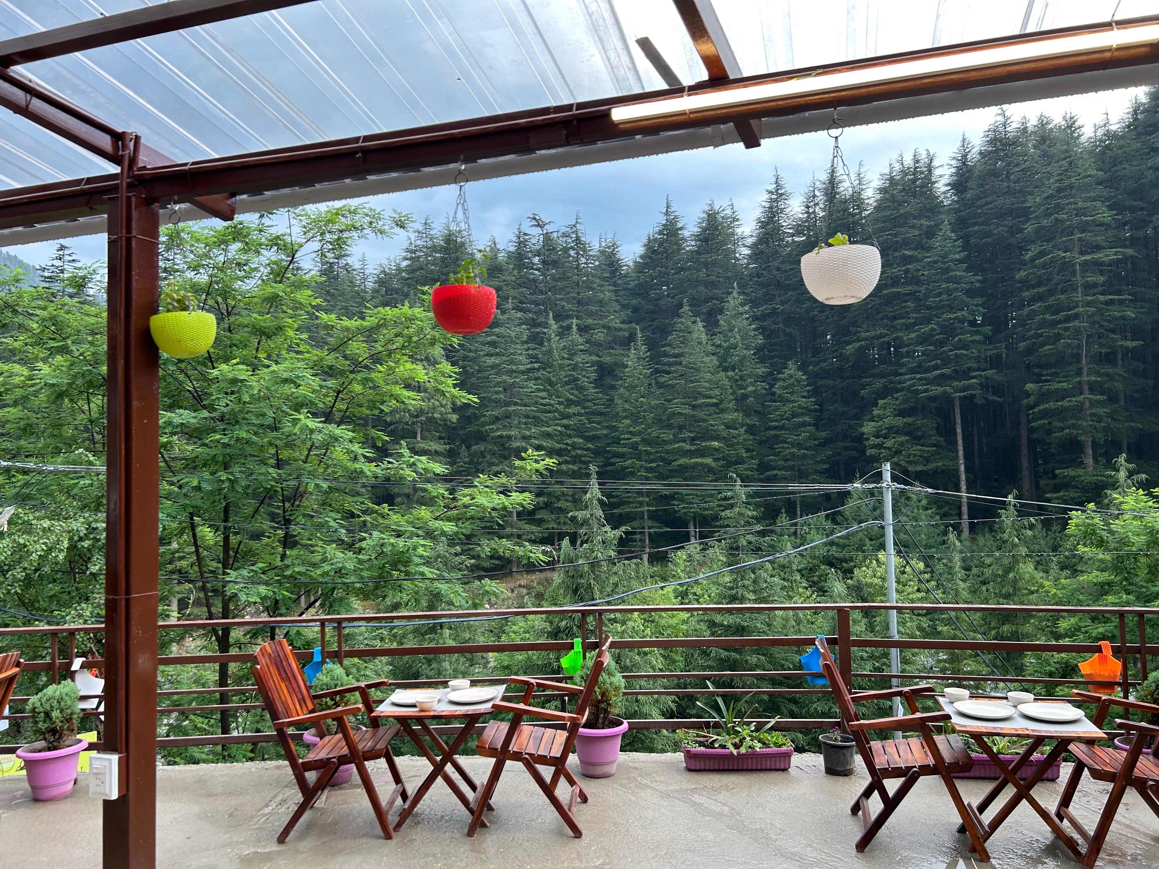 Green Woods Old Manali Hotel And Cafe