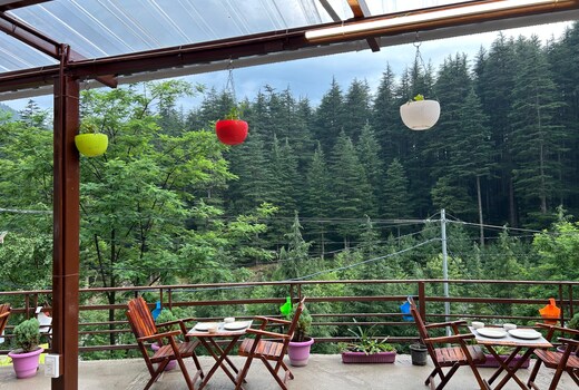 Green Woods Old Manali Hotel And Cafe