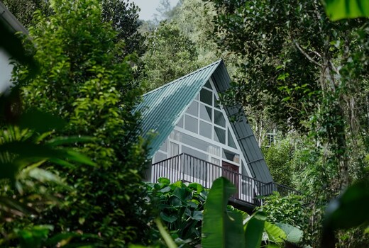 Mithra Munnar Treehouse and Rooms