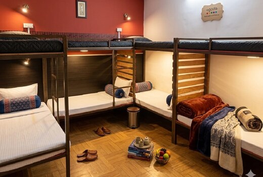 Hotel Olive Tree