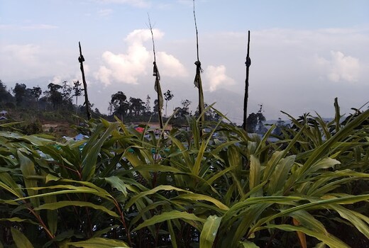 Himalayan Homestay Sillery Gaon