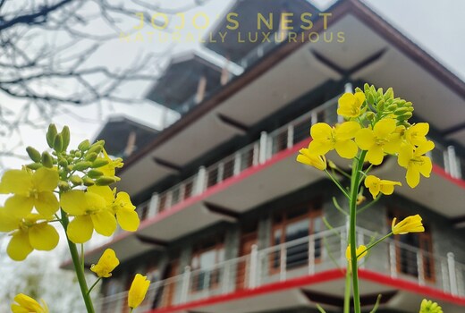 JoJo's Nest