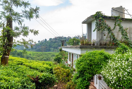 Starlit holidays homes Chithirapuram near Munnar